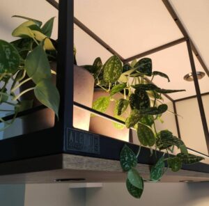 stalen keukenrek met indirecte verlichting naar boven